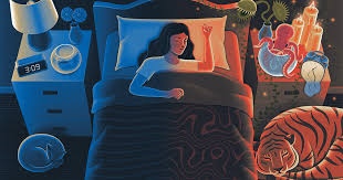 Build Email List Neuroscience Of Sleep Newslett