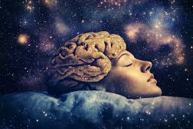 Seo Strategy Neuroscience Of Sleep Newslett Site Google